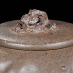 Tai Hu Shi Qu   180cc - Yixing Zisha Purple Clay Teapot
