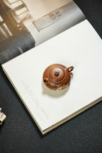 Xiao Xiao Xi Shi Ru  80cc - Yixing Zisha Purple Clay Teapot