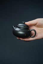 Fu Lu Rong Tian   100cc - Yixing Zisha Purple Clay Teapot