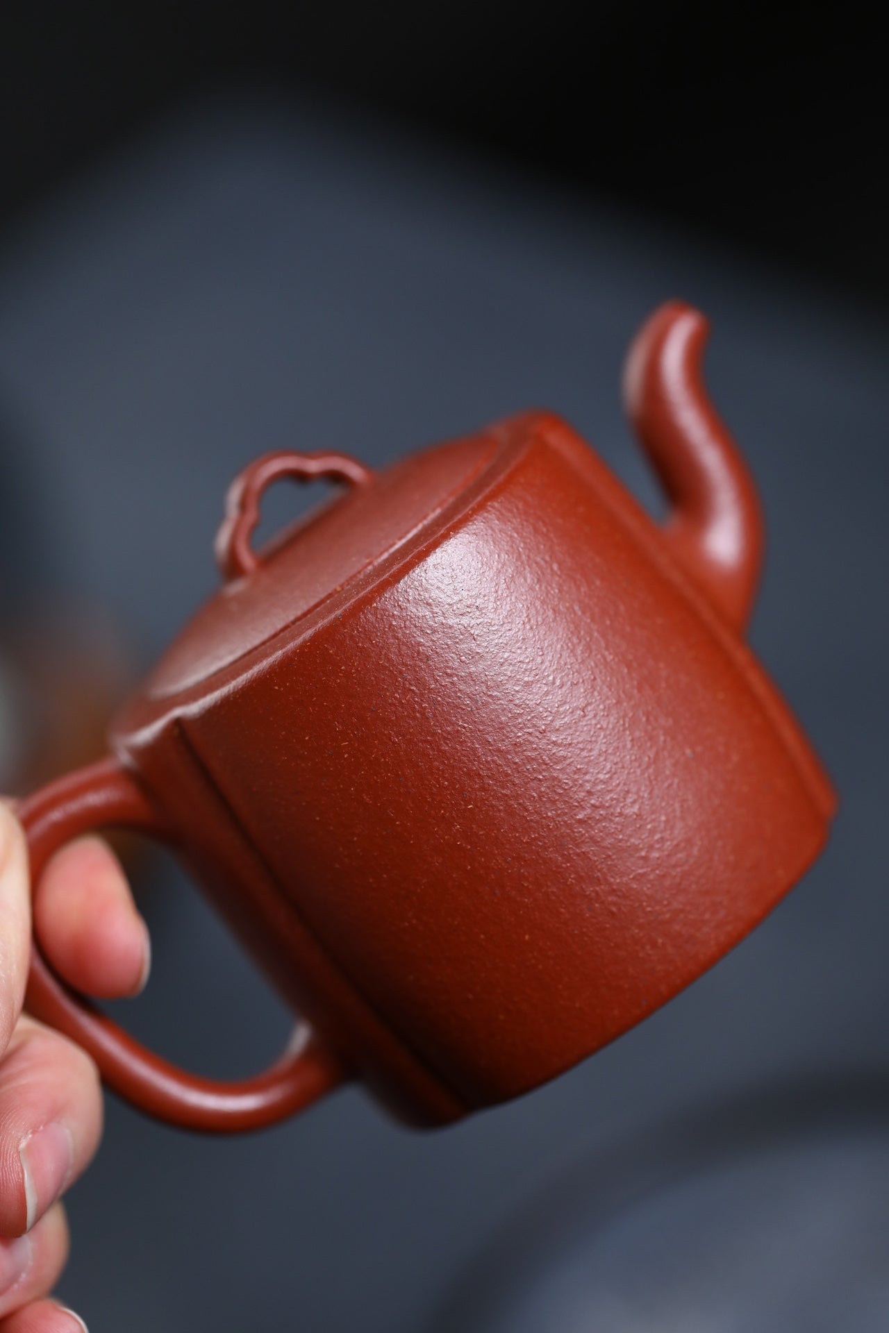 Hai Tang    160cc - Yixing Zisha Purple Clay Teapot
