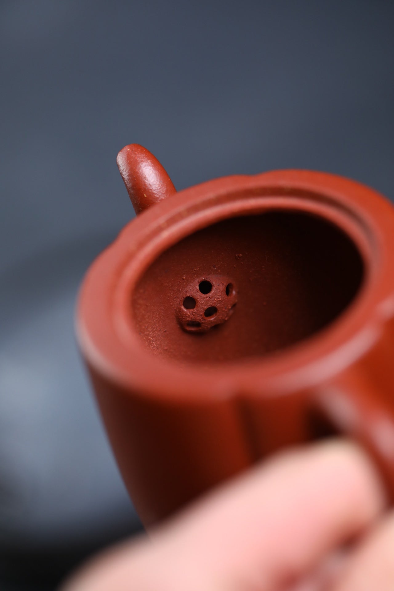 Hai Tang    160cc - Yixing Zisha Purple Clay Teapot