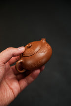 Xiao Xiao Xi Shi Ru  80cc  - Yixing Zisha Purple Clay Teapot