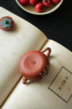 Hao Shi Fa Sheng   120cc  - Yixing Zisha Purple Clay Teapot
