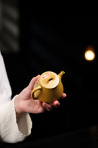 Gao Shi Piao   200cc   - Yixing Zisha Purple Clay Teapot