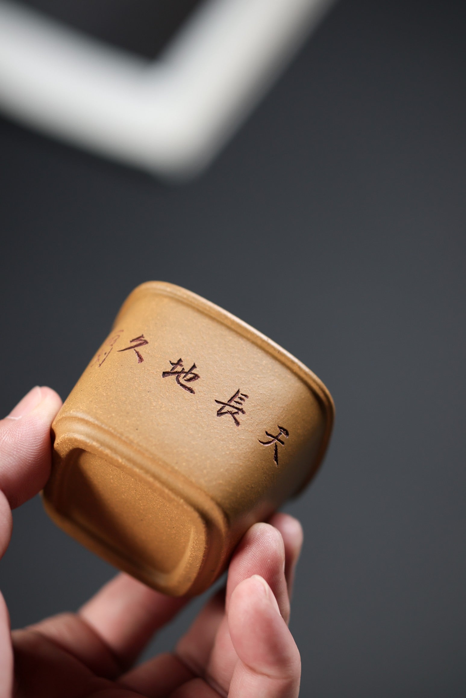 Tian Chang Di Jiu     150cc  - Yixing Zisha Purple Clay  Cup