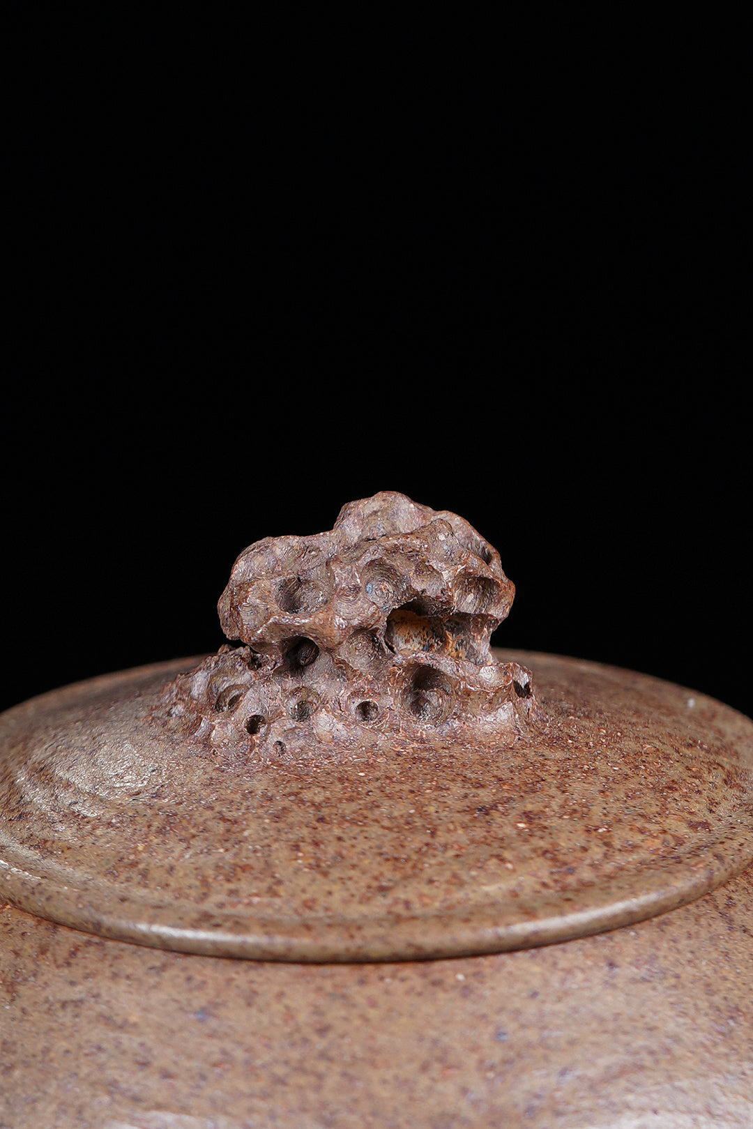 Tai Hu Shi Qu Hu     150cc   - Yixing Zisha Purple Clay Teapot