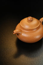 Yu Lin       120cc   - Yixing Zisha Purple Clay Teapot
